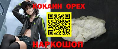 гидра Можга