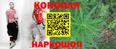 гидра Можга