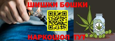 гидра Можга
