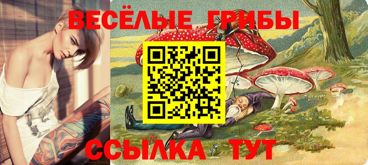 Сорочинск  Галлюциногенные грибы мухоморы  Псилоцибиновые грибы Psilocybine cubensis  Вход с VPN 